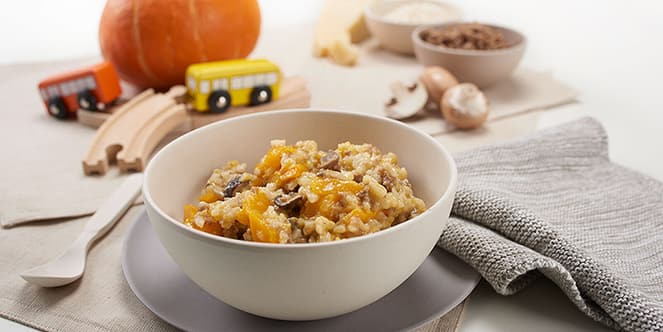 en_ADP-ImB_braun_stages-of-feeding_stage-6_beef-pumpkin-risotto_SM.png
