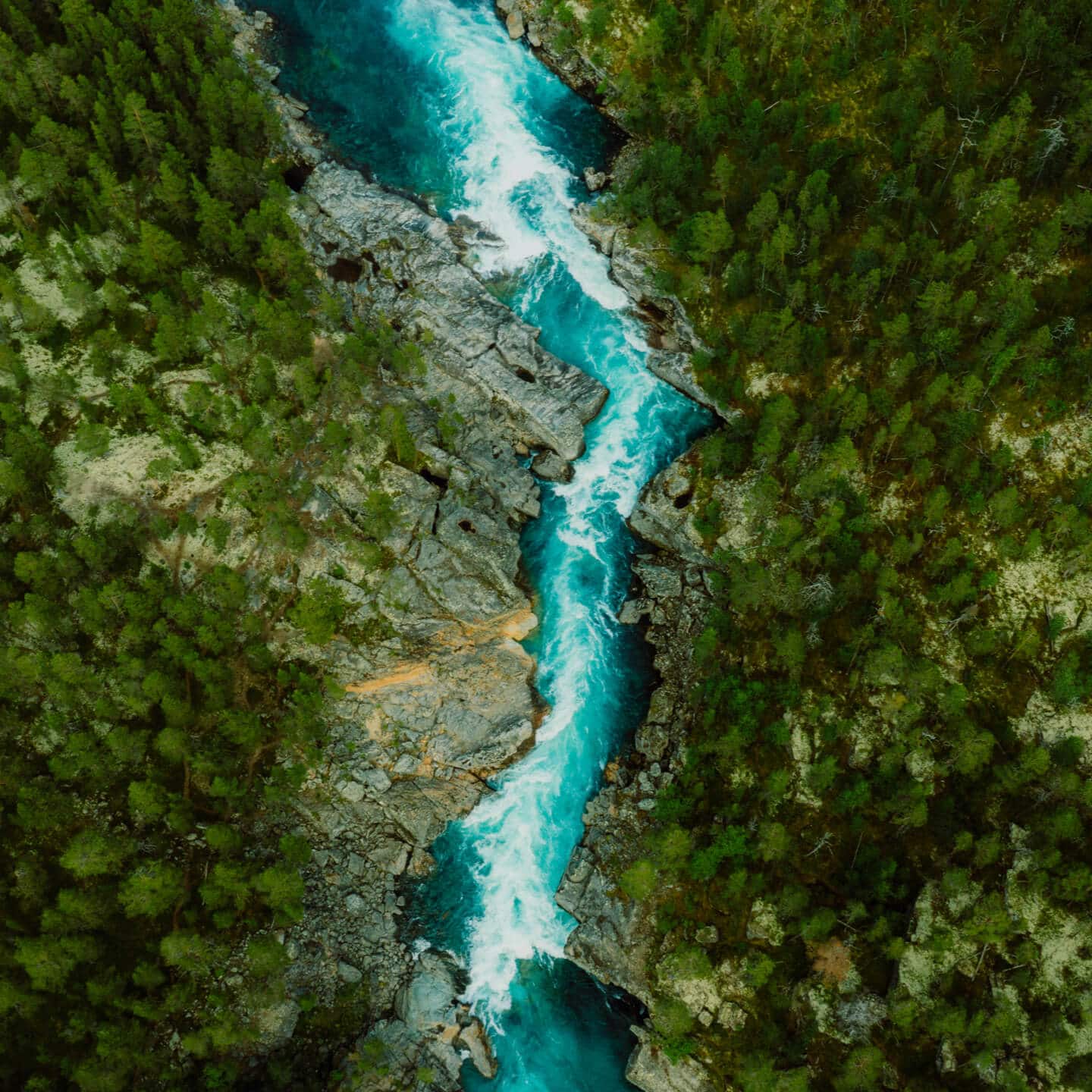 A bird's eye view of a mountain river in the forest
