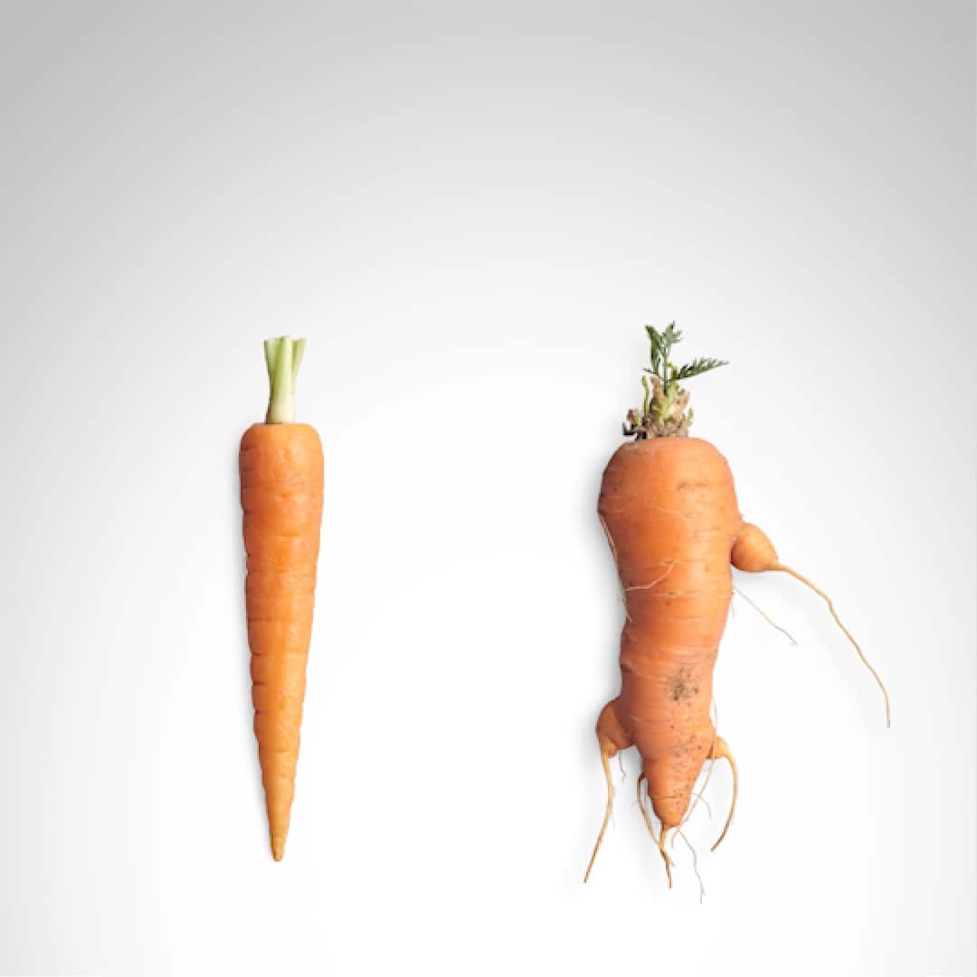 2 carrots